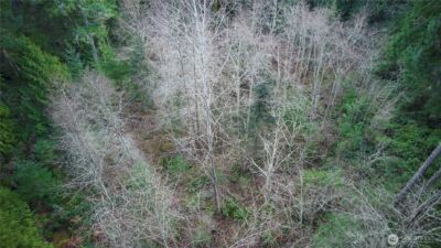 63 XX NW Anderson Hill Road , Silverdale, WA 98383 - Photo 4