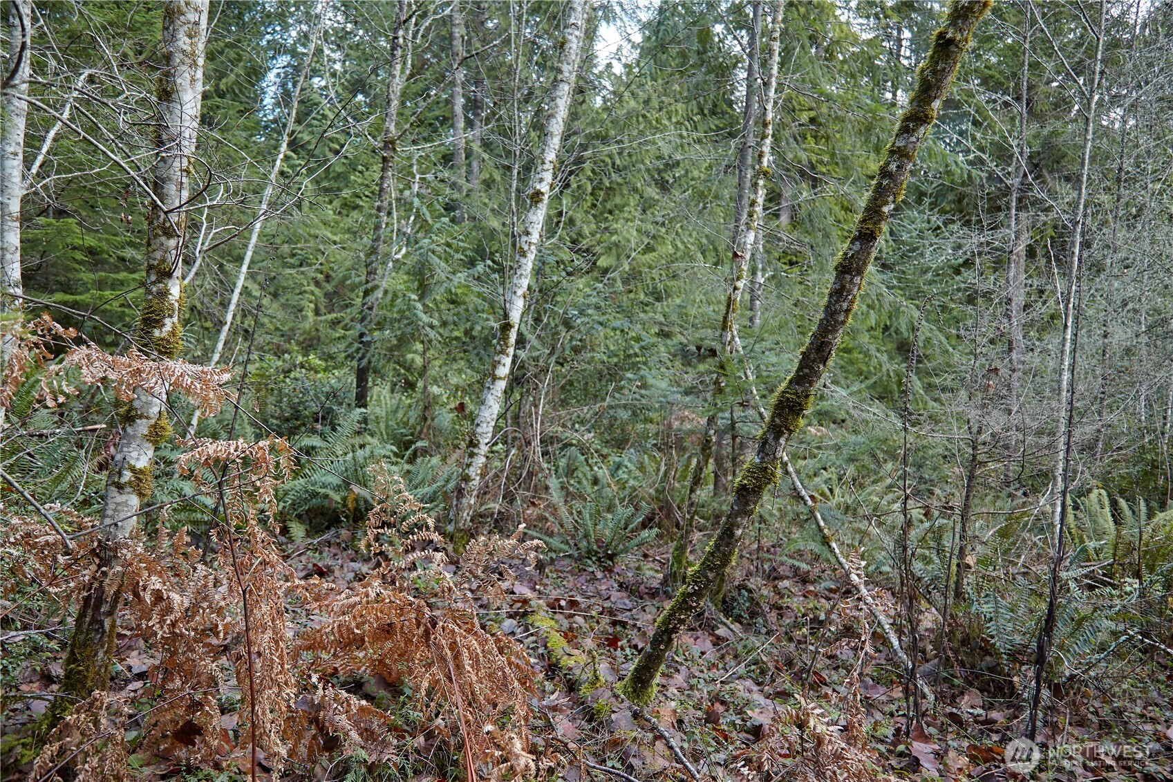 63 XX NW Anderson Hill Road , Silverdale, WA 98383