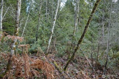 63 XX NW Anderson Hill Road , Silverdale, WA 98383 - Photo 5