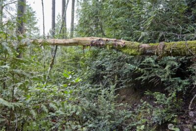 63 XX NW Anderson Hill Road , Silverdale, WA 98383 - Photo 6