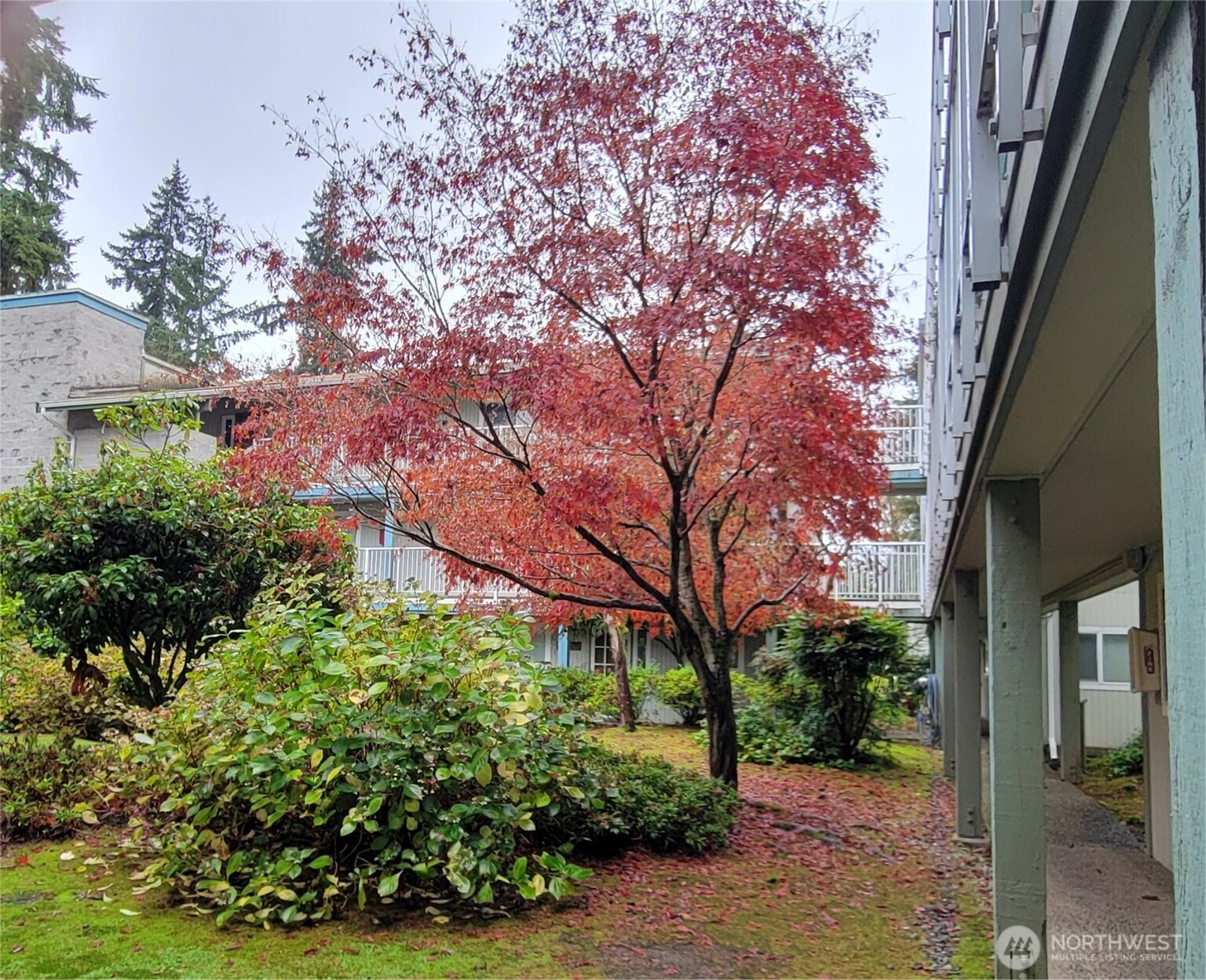 5802 200th Street SW #A, Lynnwood, WA 98036