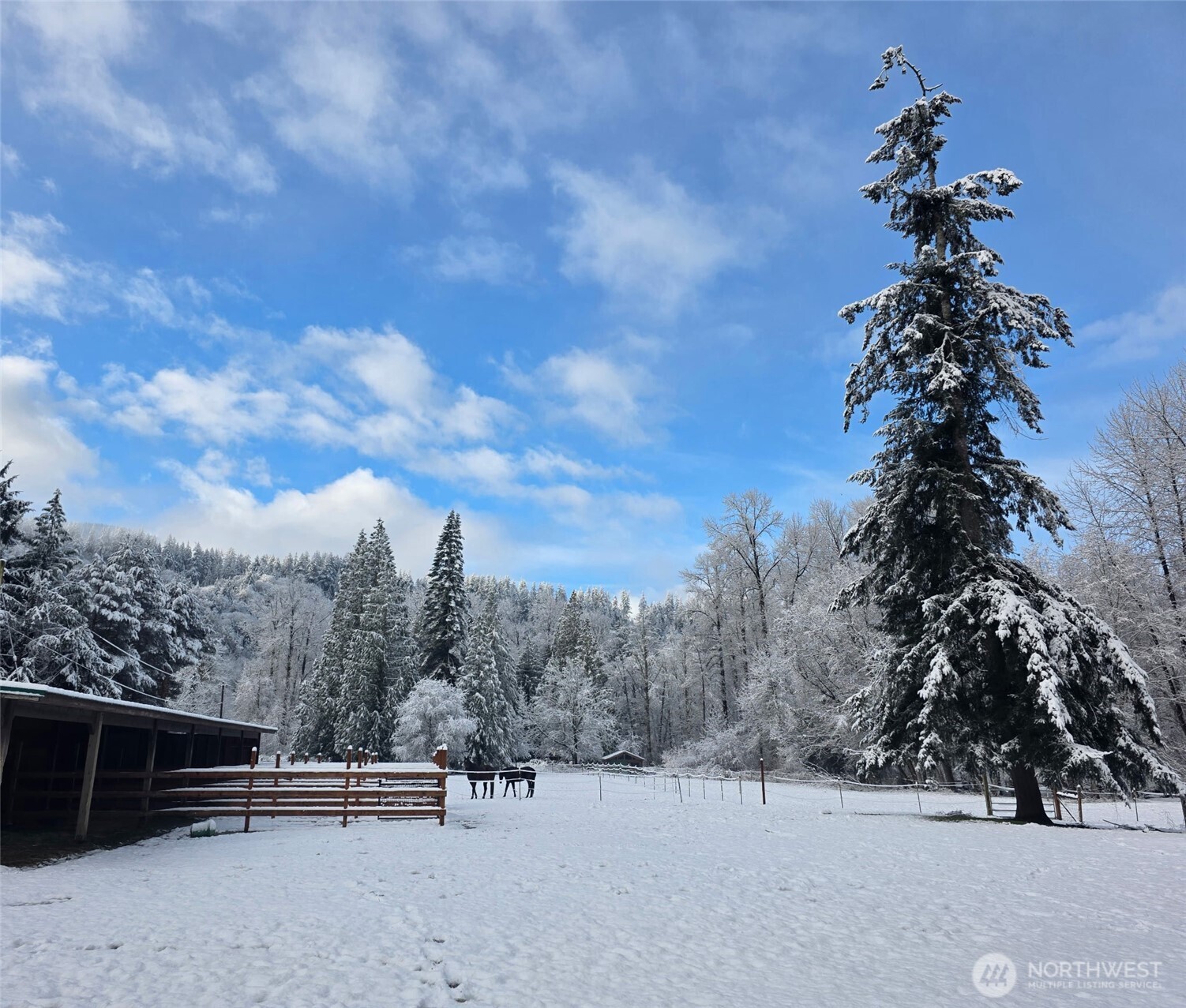 31211 Boulder Creek Drive , Arlington, WA 98223