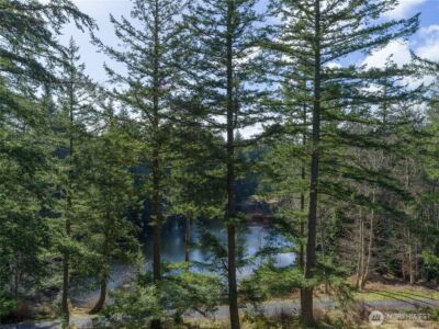 61 Sunrise Bluff , Orcas Island, WA 98279 - Photo 36