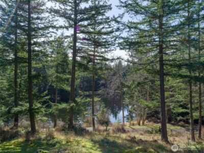 61 Sunrise Bluff , Orcas Island, WA 98279 - Photo 37