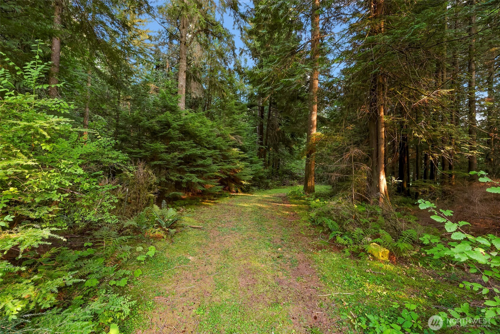 6801 South Pass Rd. , Maple Falls, WA 98266