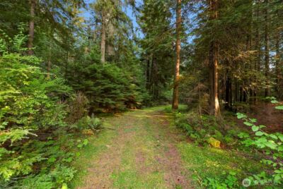 6801 South Pass Rd. , Maple Falls, WA 98266 - Photo 3