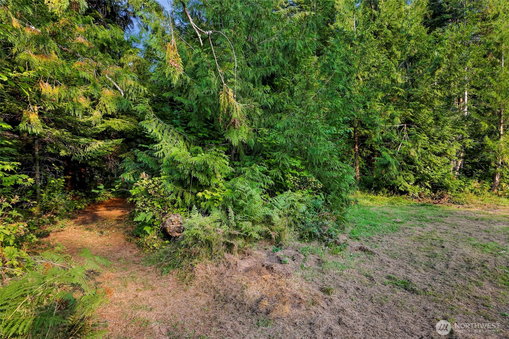 6801 South Pass Rd. , Maple Falls, WA 98266