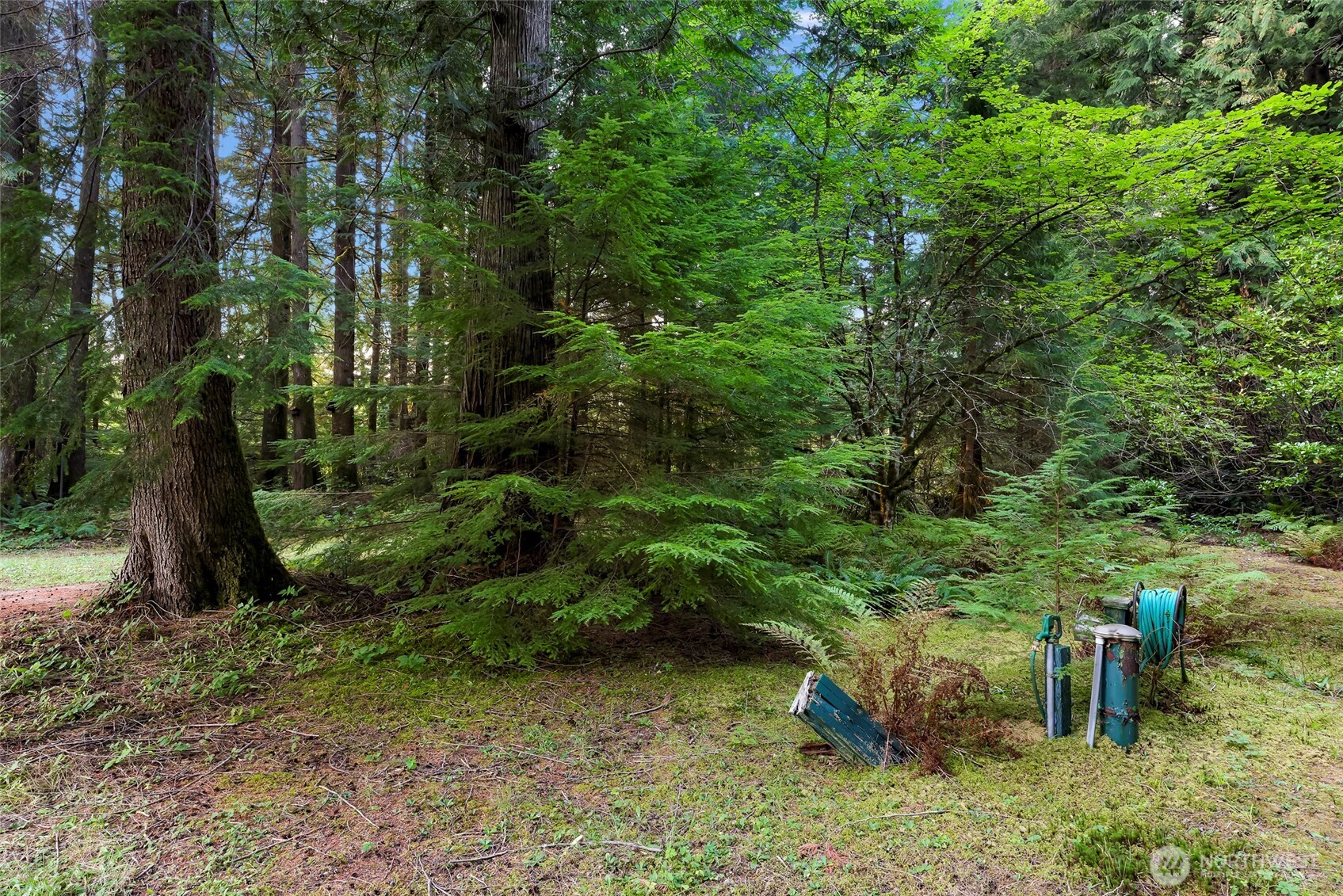 6801 South Pass Rd. , Maple Falls, WA 98266