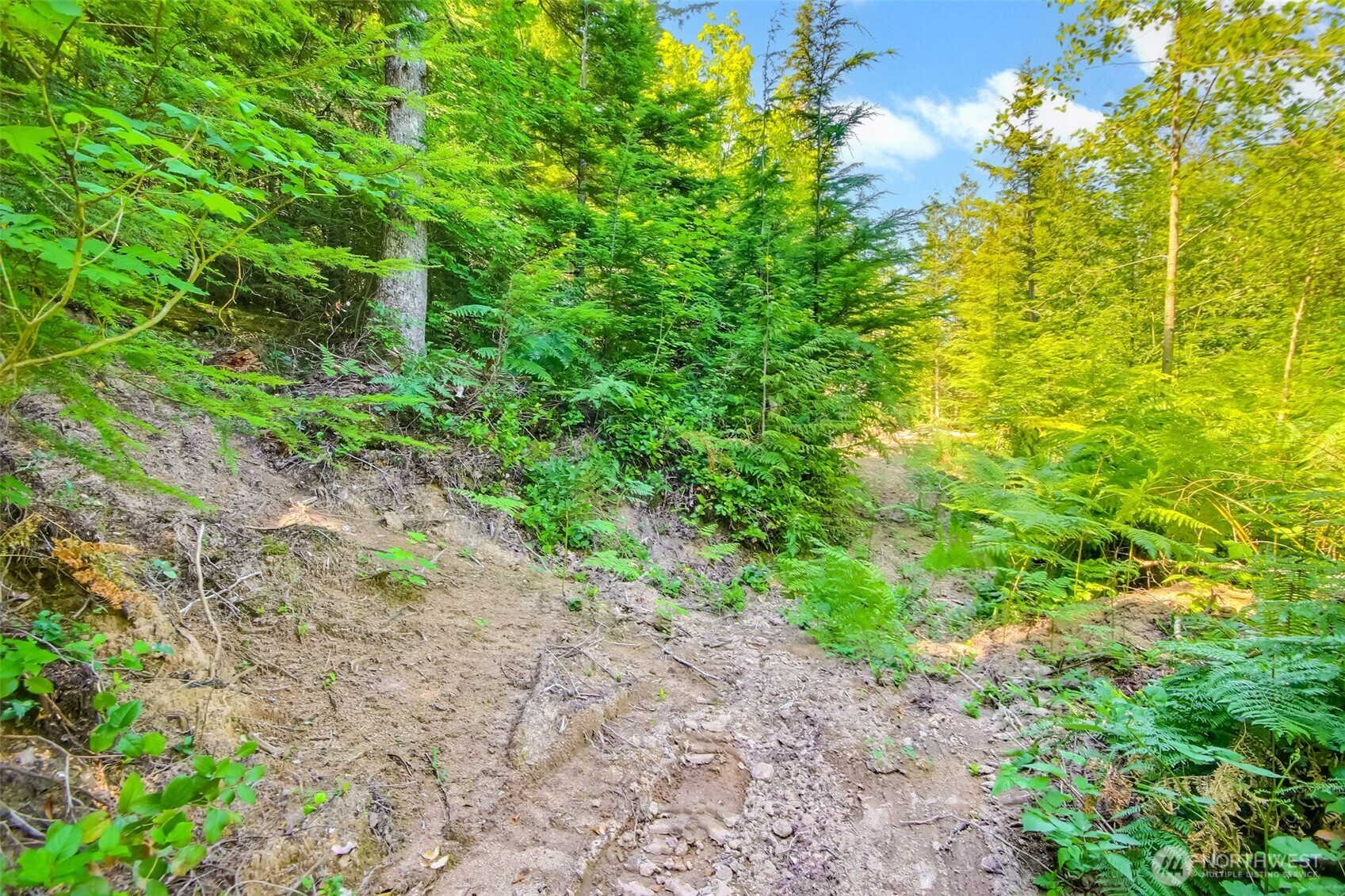 32750 343rd Ave SE , Ravensdale, WA 98051