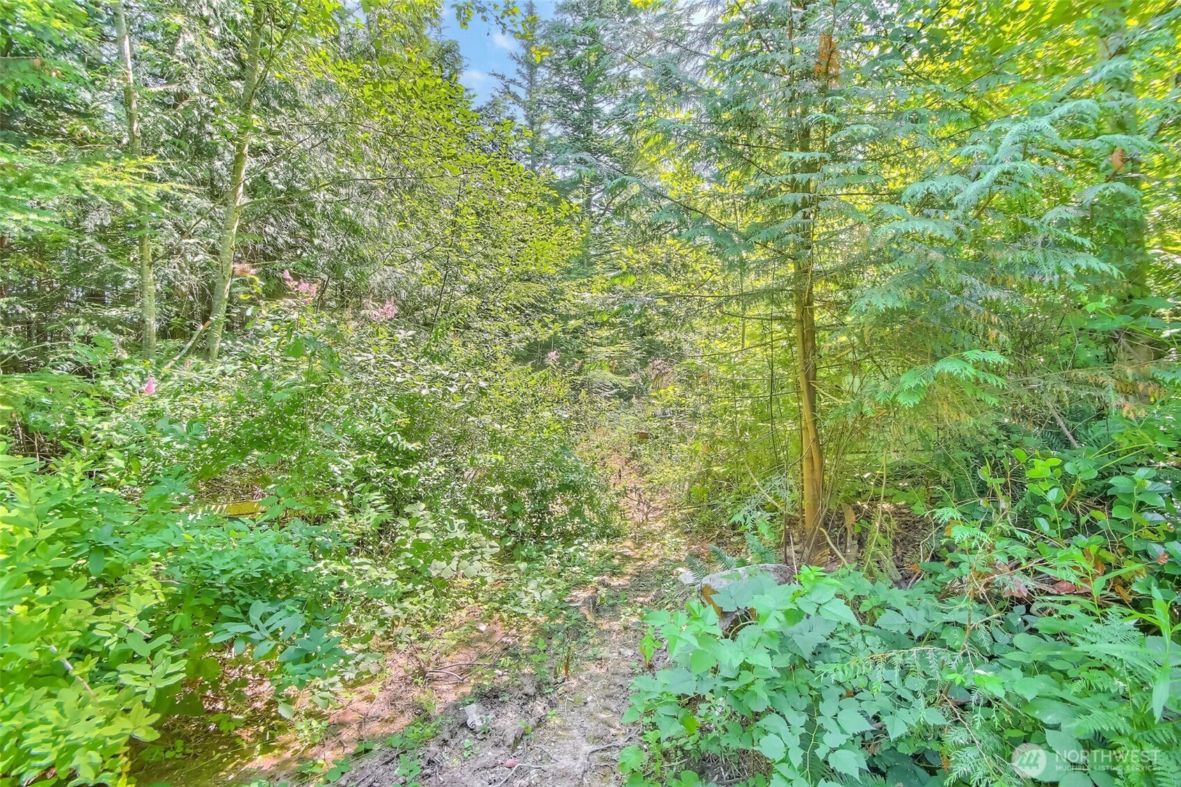 32750 343rd Ave SE , Ravensdale, WA 98051