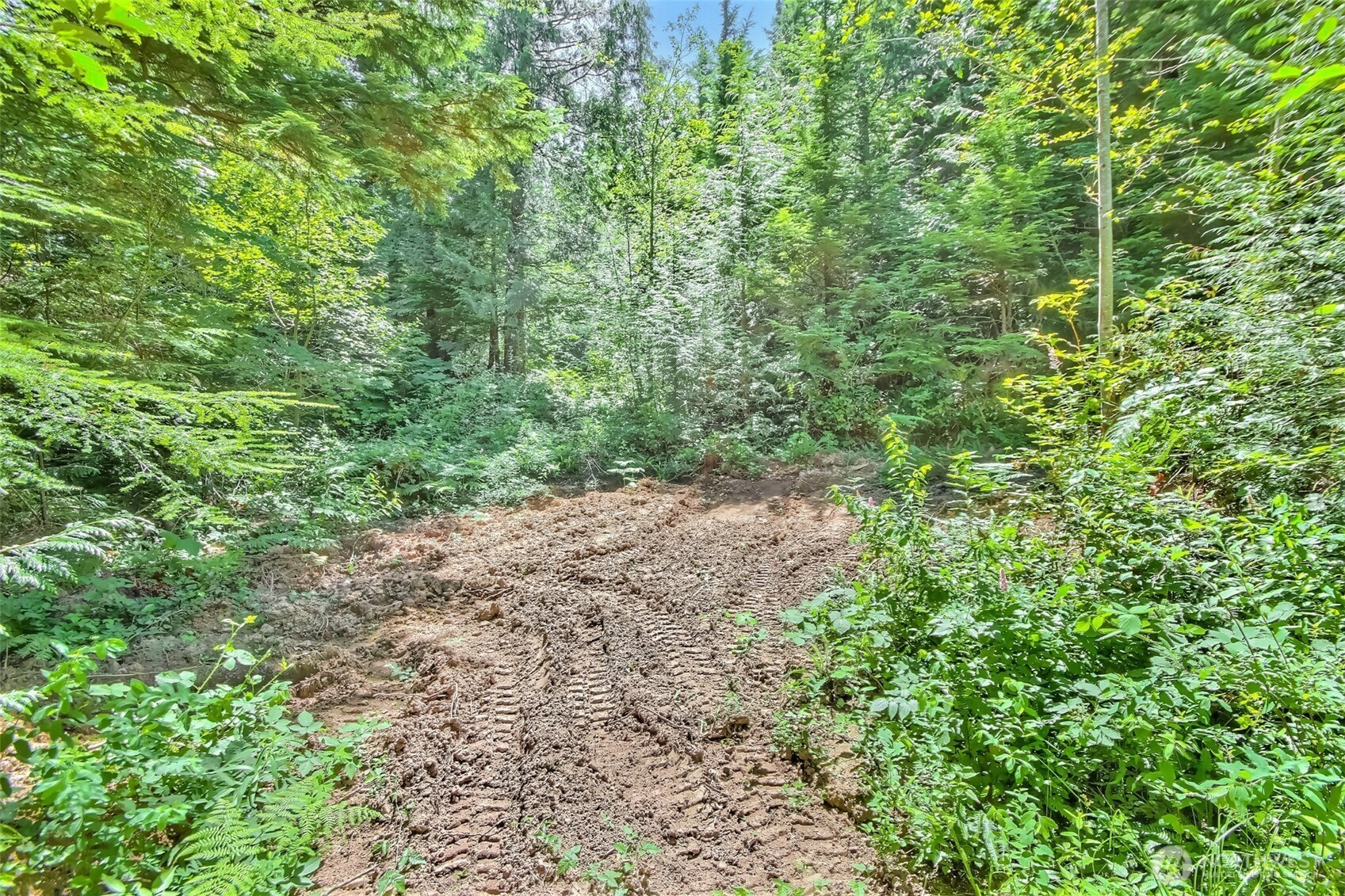 32750 343rd Ave SE , Ravensdale, WA 98051