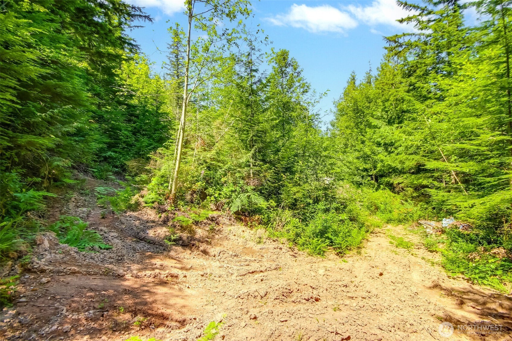 32750 343rd Ave SE , Ravensdale, WA 98051