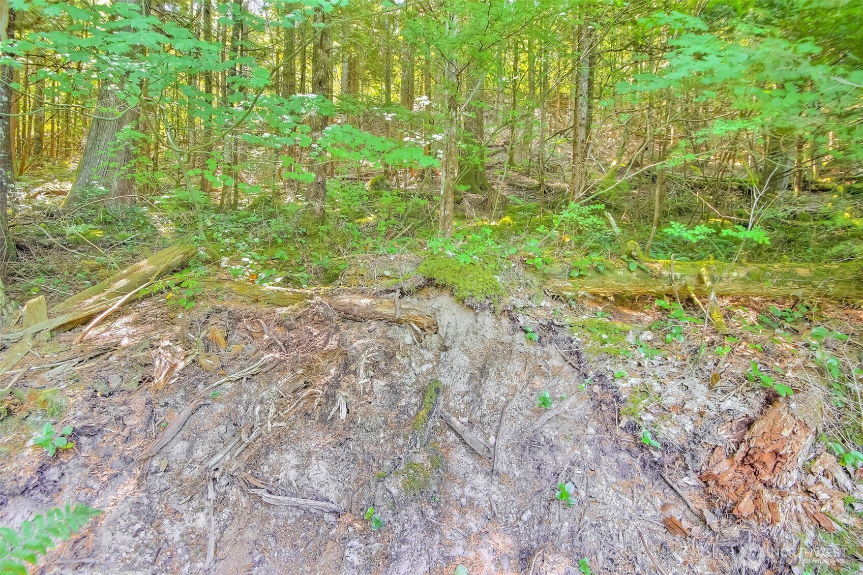 32750 343rd Ave SE , Ravensdale, WA 98051