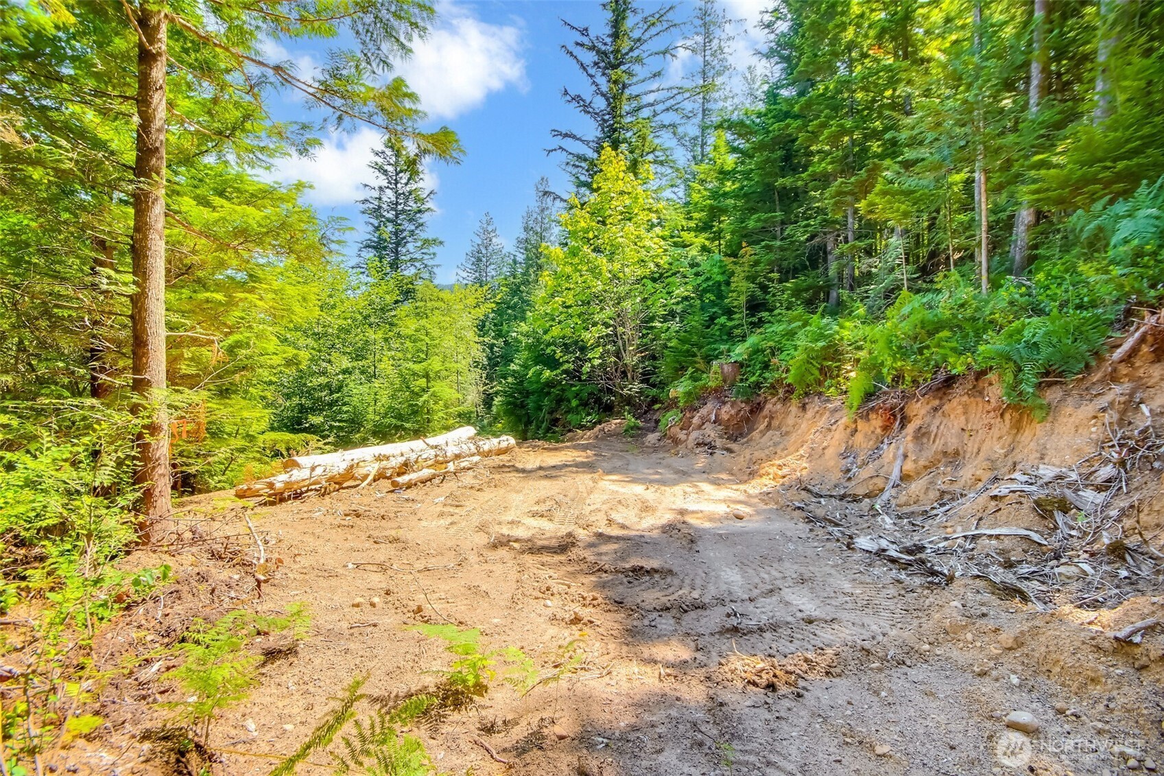 32750 343rd Ave SE , Ravensdale, WA 98051