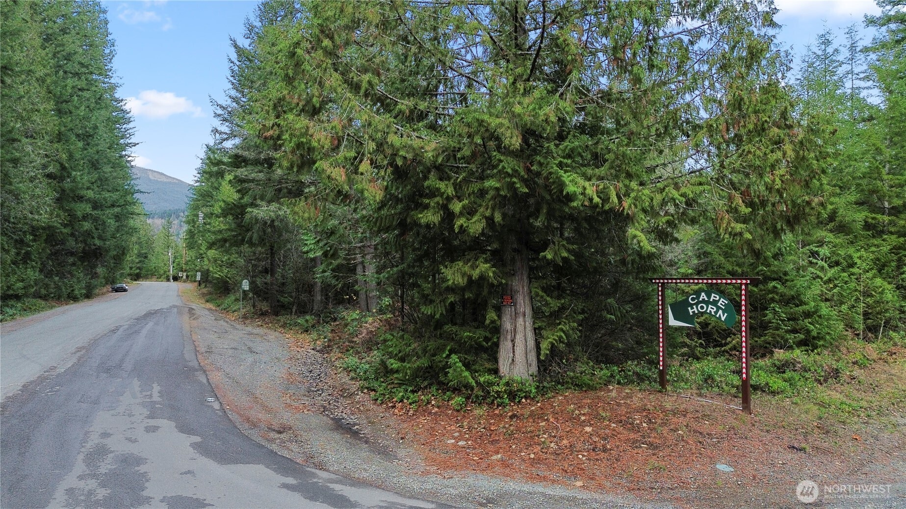 41557 Cape Horn Drive , Concrete, WA 98237