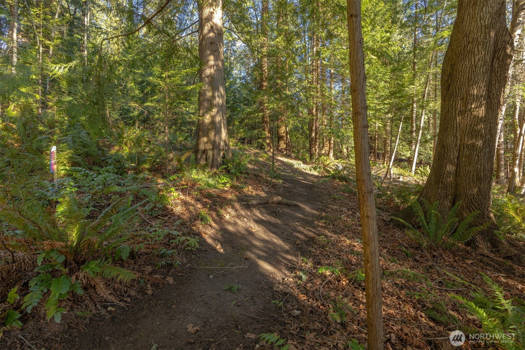 2111 Dellesta Drive , Bellingham, WA 98226