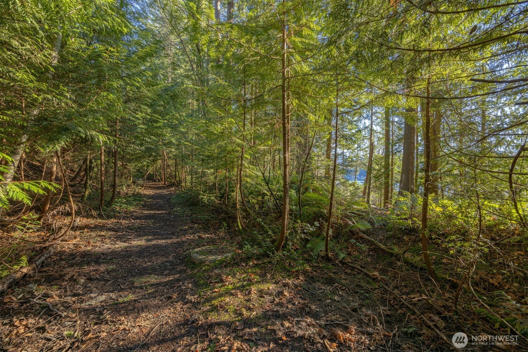 2111 Dellesta Drive , Bellingham, WA 98226
