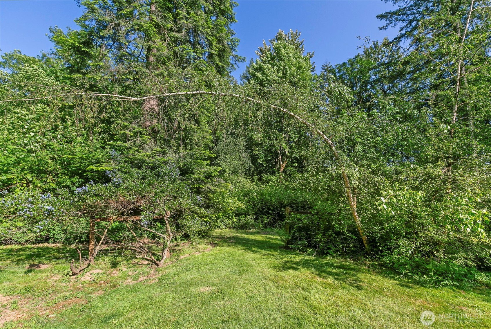 34821 NE Gable Avenue , La Center, WA 98629