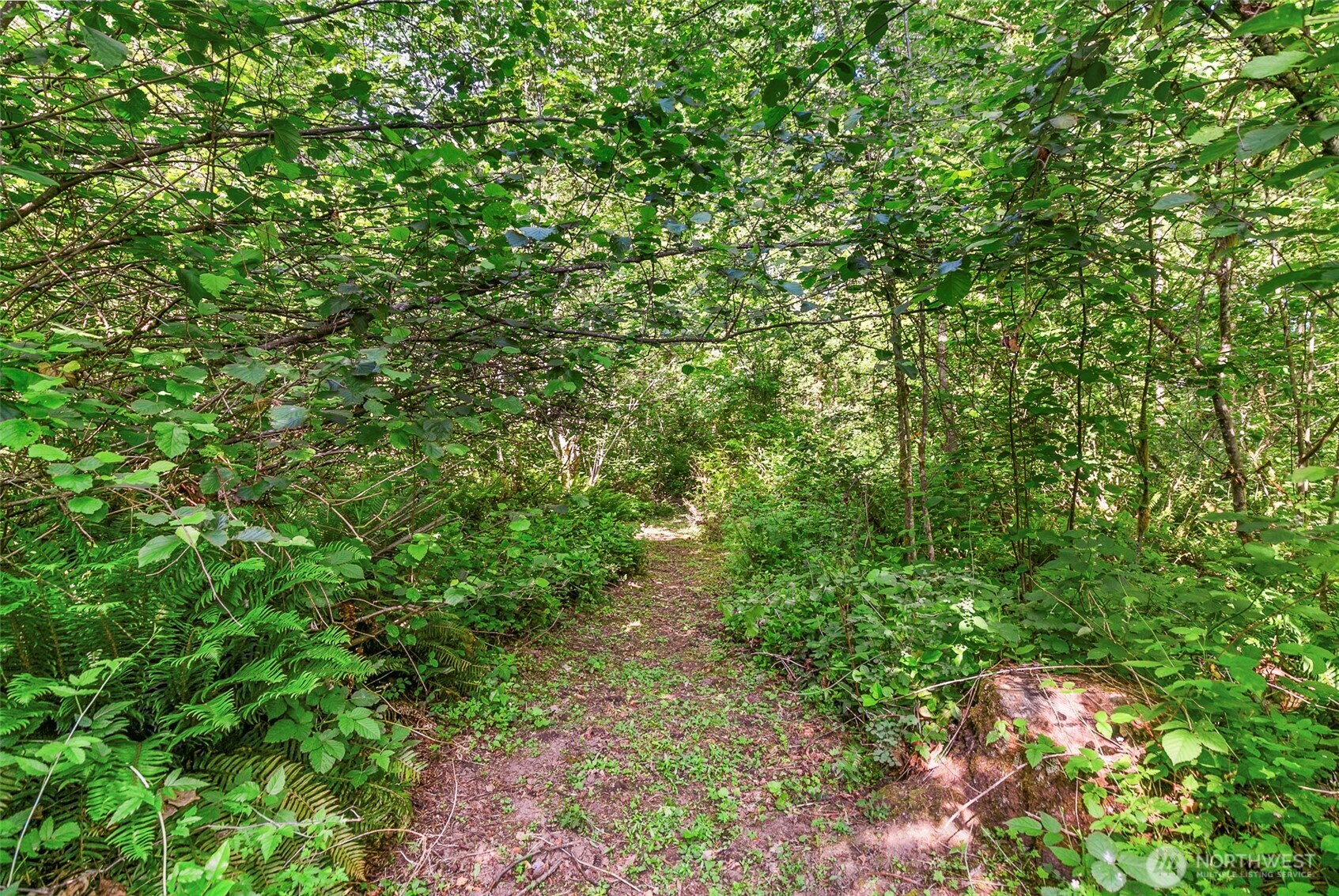 34821 NE Gable Avenue , La Center, WA 98629