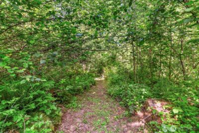 34821 NE Gable Avenue , La Center, WA 98629 - Photo 34