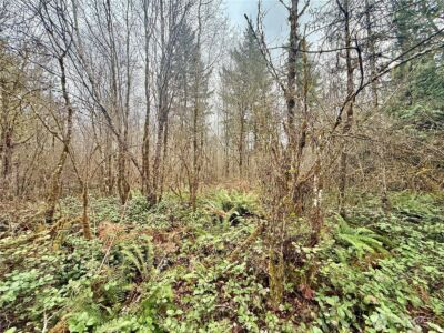 298 Boone Road , Toledo, WA 98591 - Photo 12