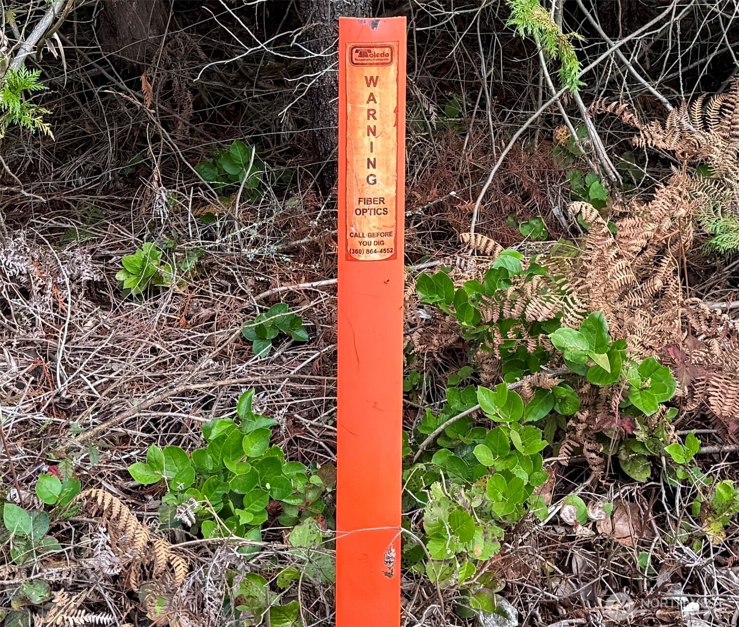 298 Boone Road , Toledo, WA 98591