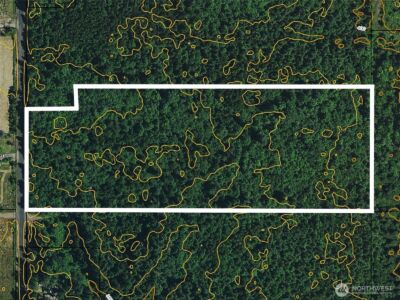 298 Boone Road , Toledo, WA 98591 - Photo 16