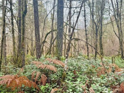 298 Boone Road , Toledo, WA 98591 - Photo 23