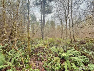 298 Boone Road , Toledo, WA 98591 - Photo 24