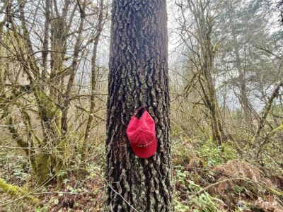 298 Boone Road , Toledo, WA 98591 - Photo 26