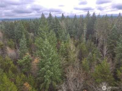 298 Boone Road , Toledo, WA 98591 - Photo 28