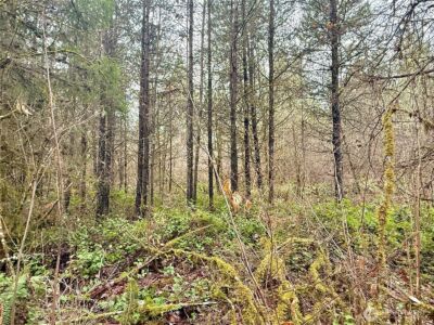 298 Boone Road , Toledo, WA 98591 - Photo 32