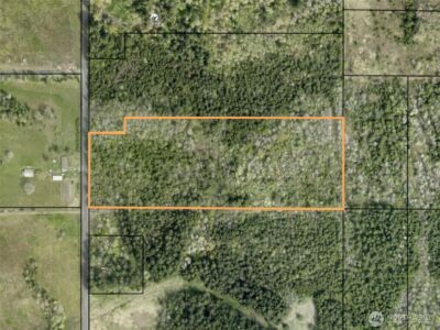 298 Boone Road , Toledo, WA 98591 - Photo 33