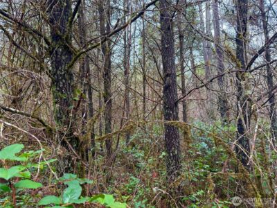 298 Boone Road , Toledo, WA 98591 - Photo 37