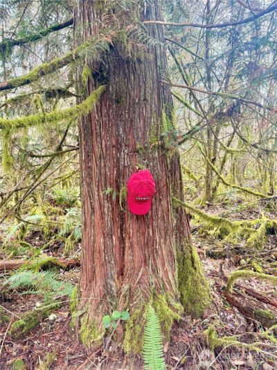 298 Boone Road , Toledo, WA 98591 - Photo 5