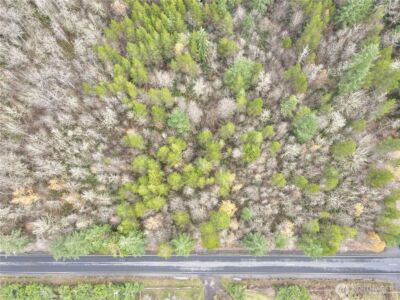 298 Boone Road , Toledo, WA 98591 - Photo 6