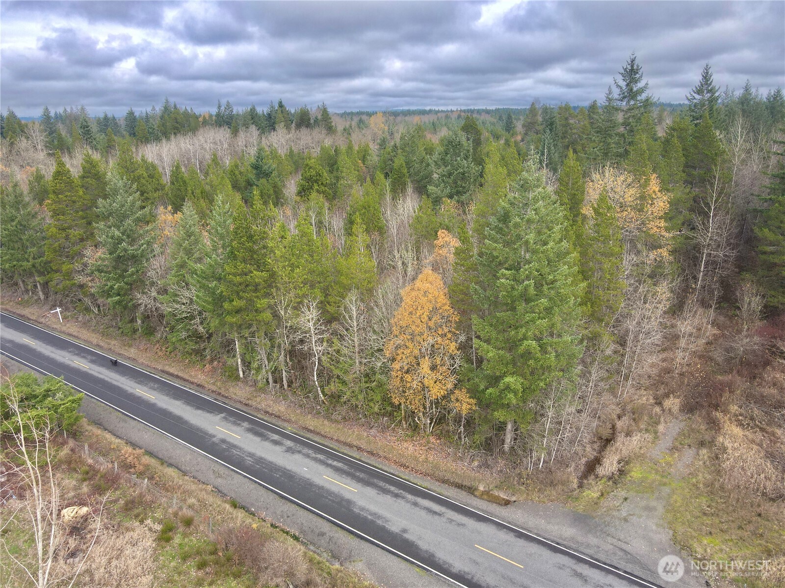 298 Boone Road , Toledo, WA 98591