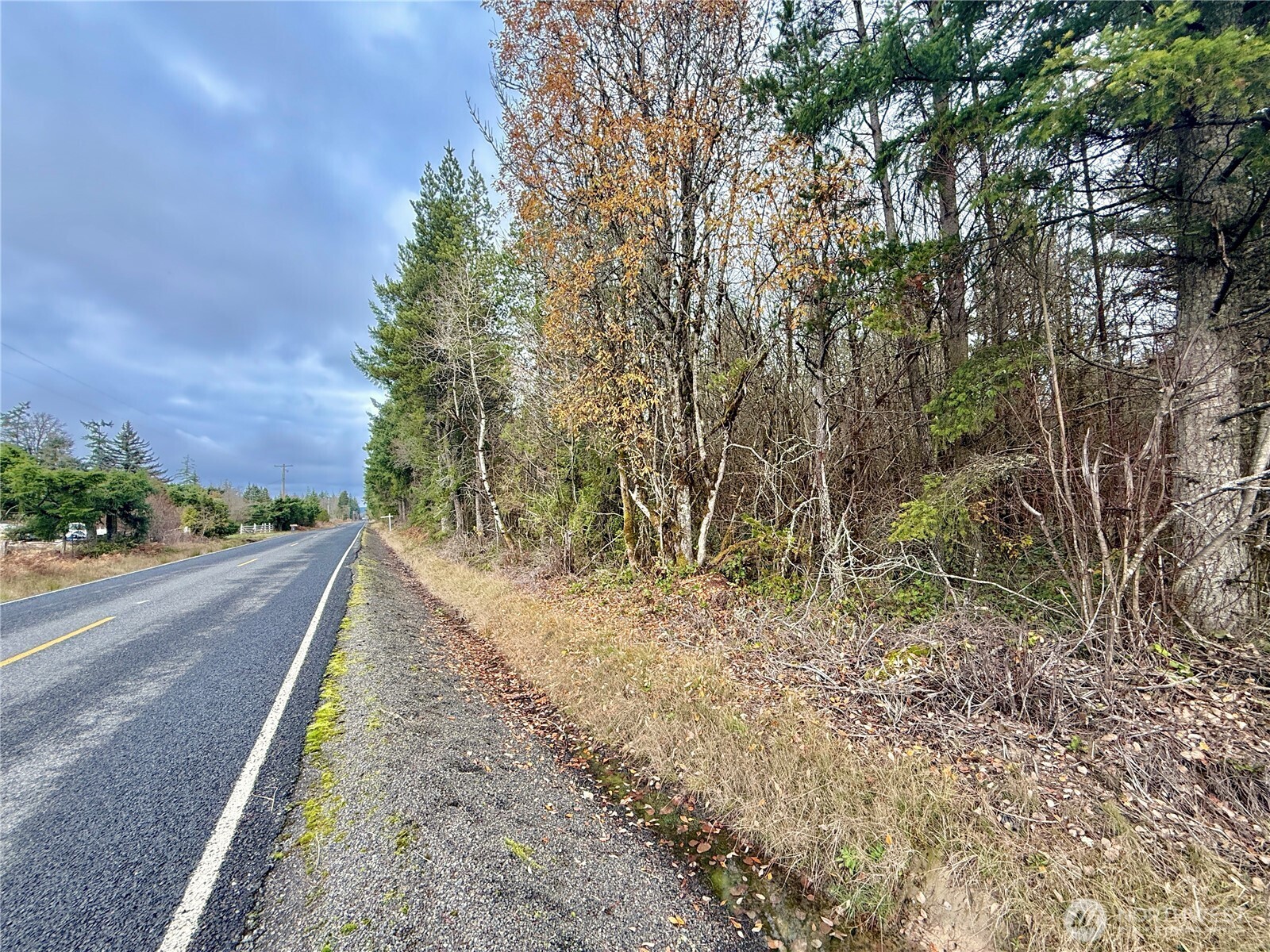 298 Boone Road , Toledo, WA 98591