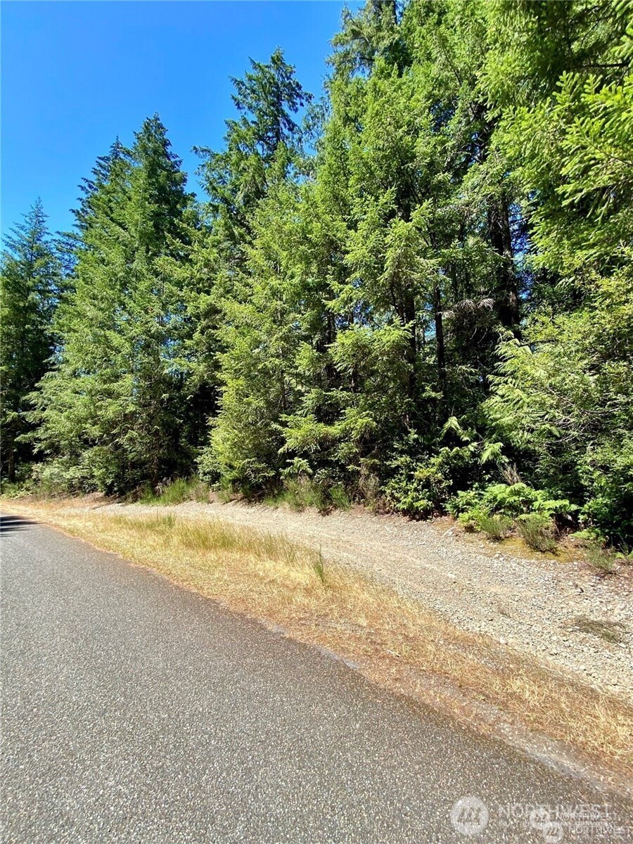 0 XXX E Balmoral Way , Shelton, WA 98584