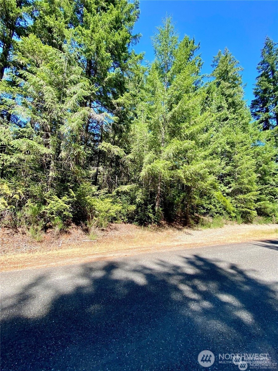 0 XXX E Balmoral Way , Shelton, WA 98584
