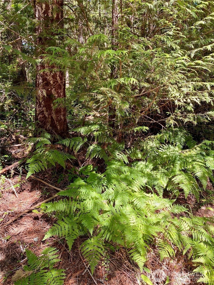 0 XXX E Balmoral Way , Shelton, WA 98584