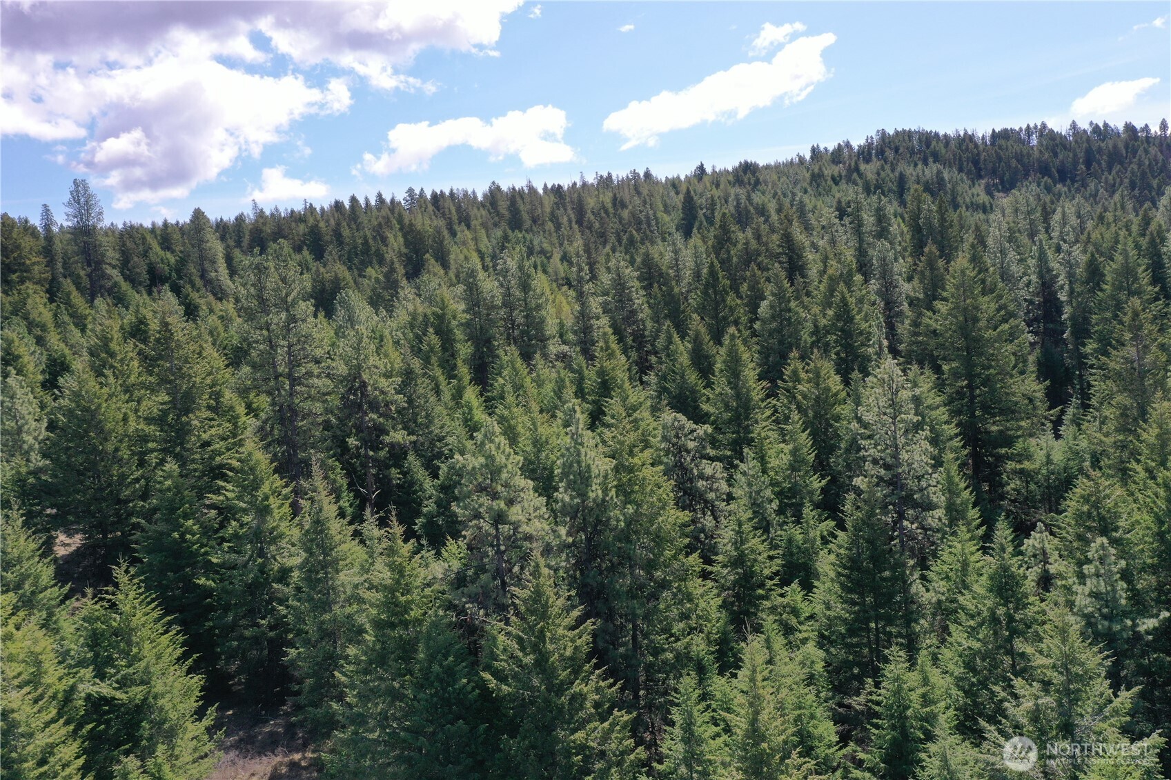 65 A Spring Meadow Lane , Oroville, WA 98844