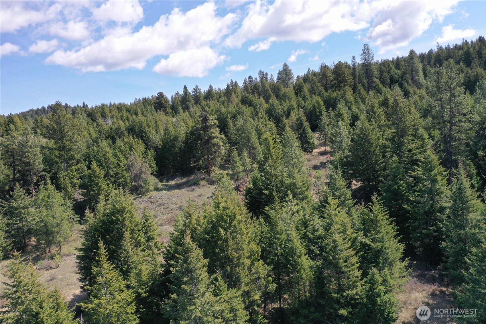 65 A Spring Meadow Lane , Oroville, WA 98844