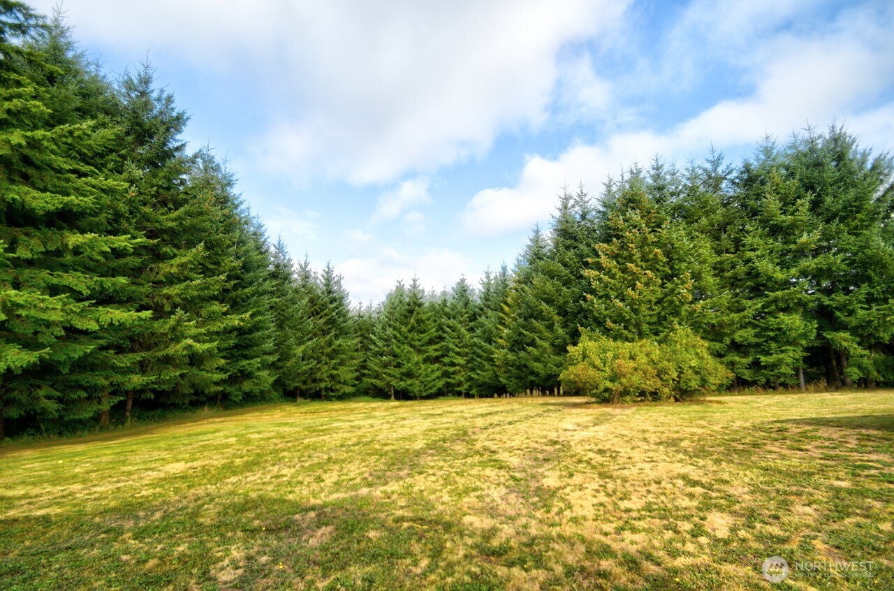 378 Burnt Ridge Road , Onalaska, WA 98570