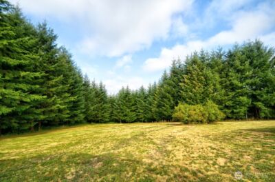 378 Burnt Ridge Road , Onalaska, WA 98570 - Photo 37