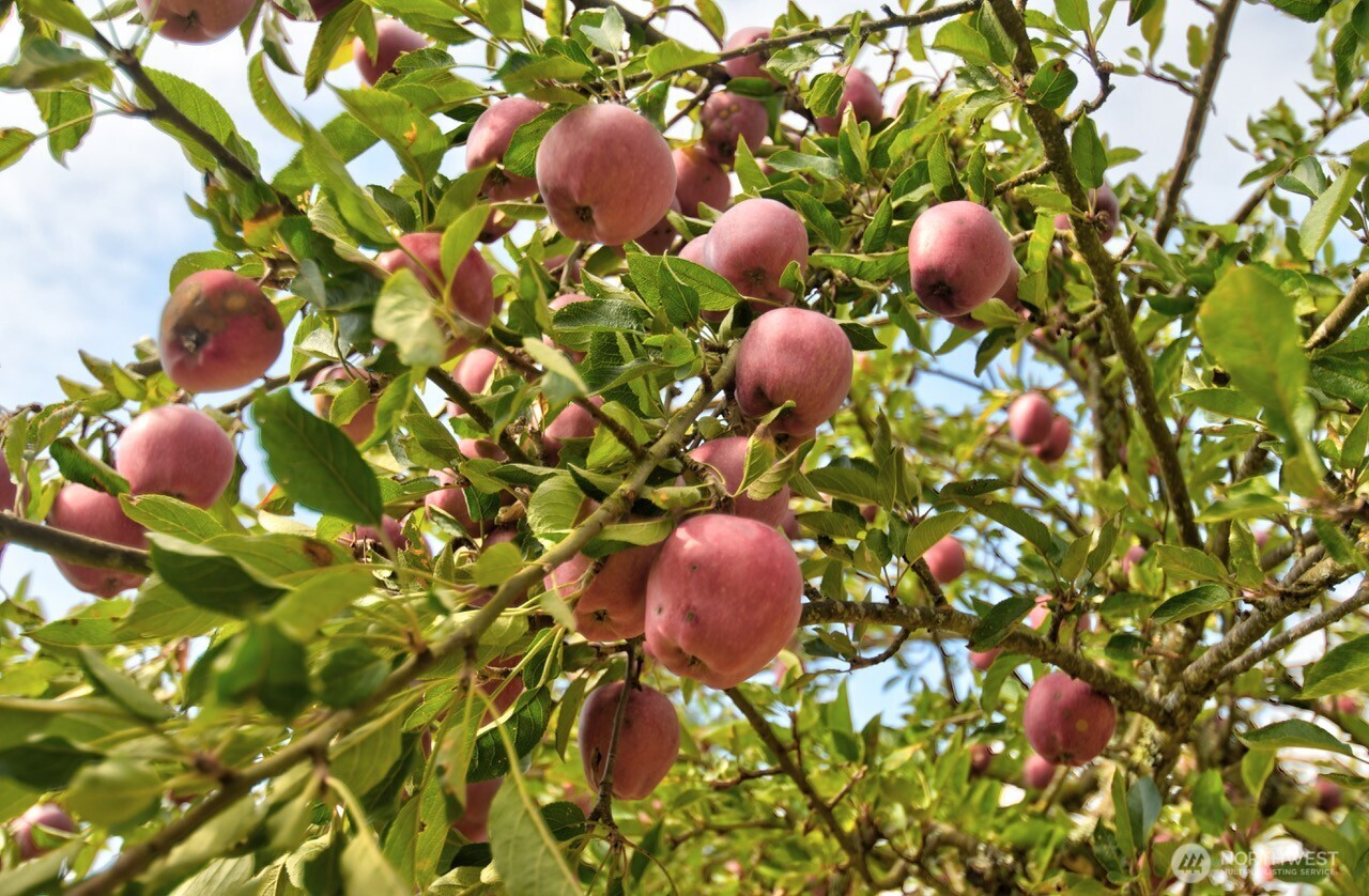 378 Burnt Ridge Road , Onalaska, WA 98570