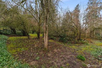 4419 58th Avenue W, University Place, WA 98466 - Photo 6