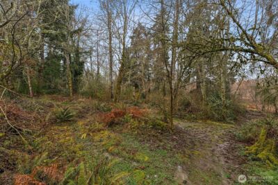 4419 58th Avenue W, University Place, WA 98466 - Photo 8