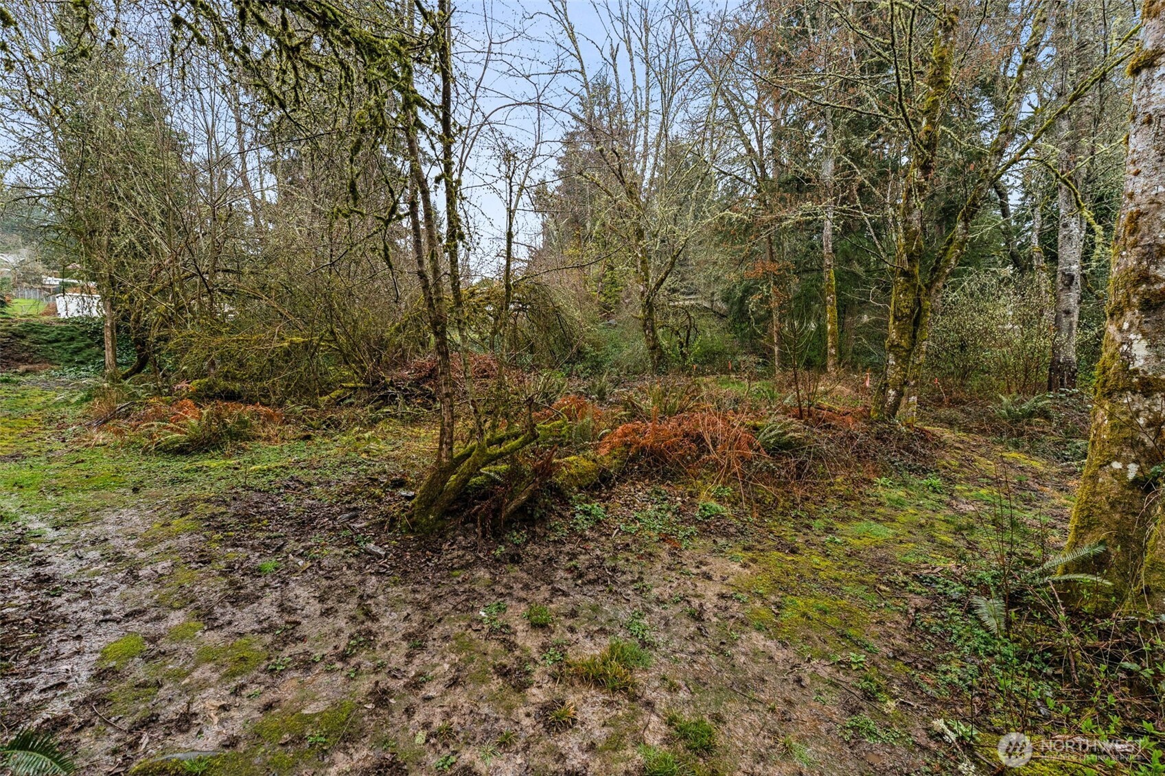 4419 58th Avenue W, University Place, WA 98466