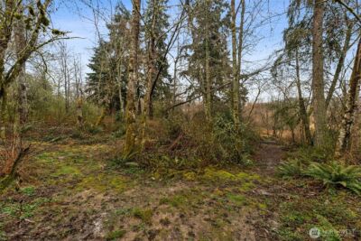 4419 58th Avenue W, University Place, WA 98466 - Photo 10